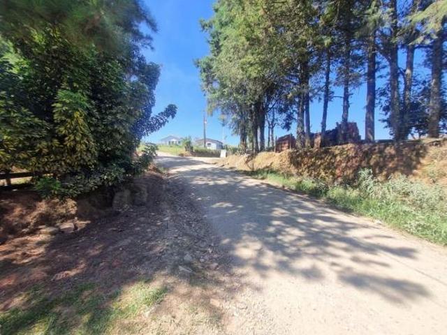Sitio venda em Araucaria