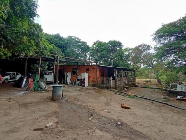 Sítio e chácara venda em Região Geográfica Imediata do Distrito Federal, Região Integrada de Desenvolvimento do Distrito Federal e Entorno
