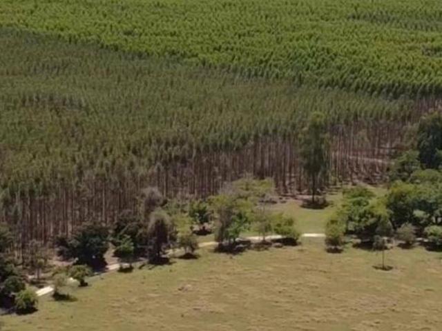 Sítio e chácara venda em Região Imediata de Avaré, Paranapanema