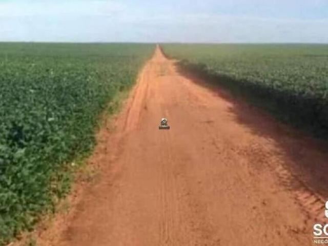 Sítio e chácara venda em Região Geográfica Imediata de Confresa - Vila Rica, Confresa