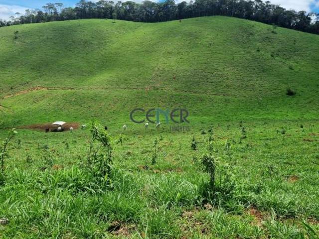 Sítio e chácara venda em Região Geográfica Imediata de Barbacena, Antônio Carlos