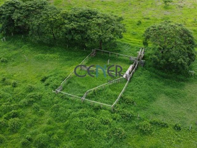 Sítio e chácara venda em Região Geográfica Imediata de Patos de Minas, João Pinheiro