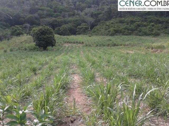 Sítio e chácara venda em Região Geográfica Imediata de Teófilo Otoni, Ladainha