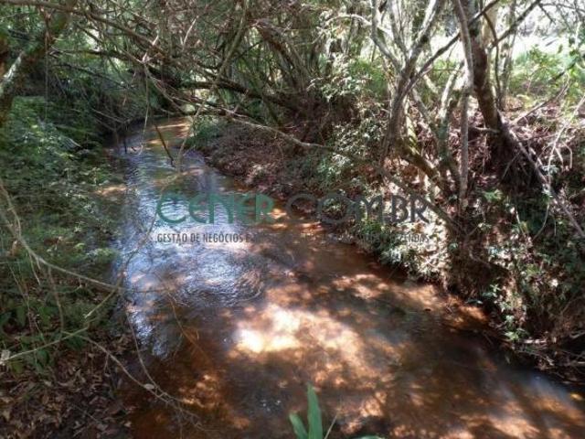 Sítio e chácara venda em Região Geográfica Imediata de Juiz de Fora, Andrelândia