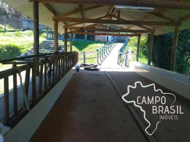 Sítio e chácara venda em Vila São Sebastião, Monteiro Lobato