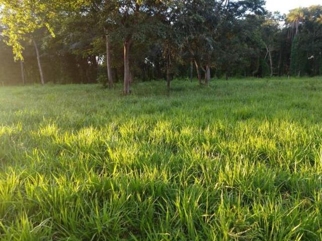 Sítio e chácara venda em Região Geográfica Imediata de Garanhuns, Região Nordeste