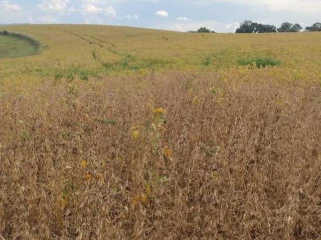 Sítio e chácara venda em Região Geográfica Imediata de Varginha, São Gonçalo do Sapucaí