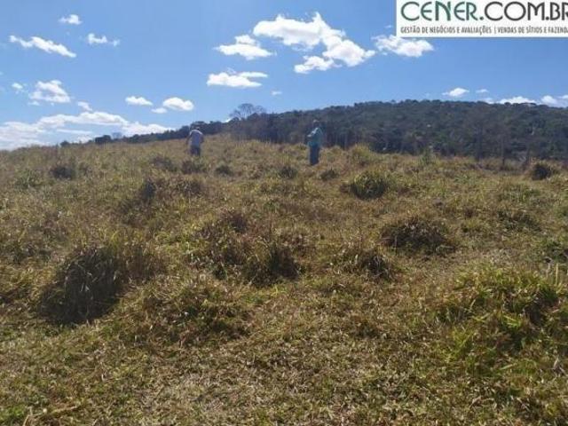 Sítio e chácara venda em Região Geográfica Imediata de Conselheiro Lafaiete, Belo Vale