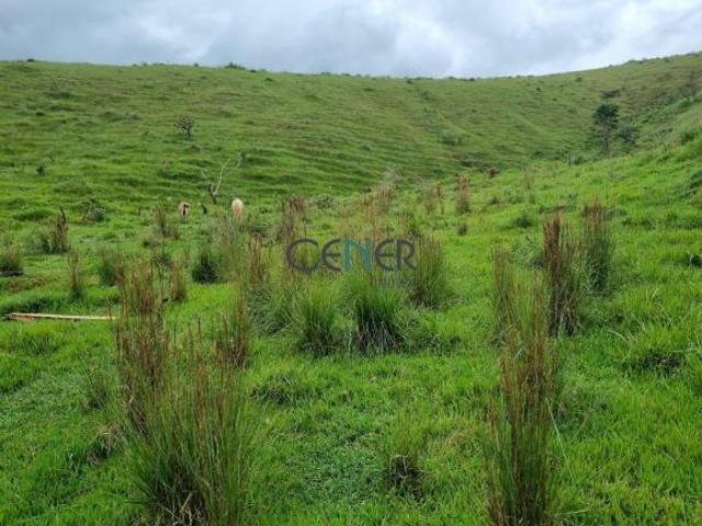 Sítio e chácara venda em Região Geográfica Imediata de Barbacena, Antônio Carlos