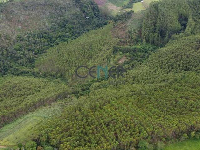 Sítio e chácara venda em Região Geográfica Imediata de Barbacena, Barbacena