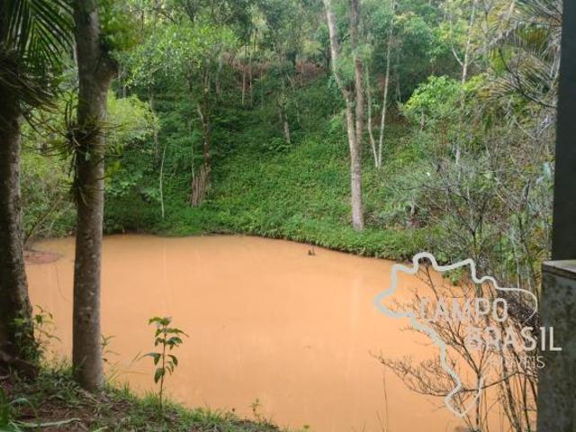 Sítio e chácara venda em Região Imediata de São José dos Campos, Região Metropolitana do Vale do Paraíba e Litoral Norte