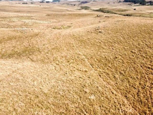 Sítio e chácara venda em Condomínio José Bonifácio, São Francisco de Paula