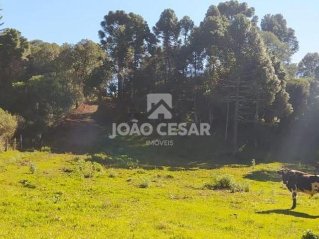 Casa venda em Região Geográfica Imediata de Lagoa Vermelha, Caseiros