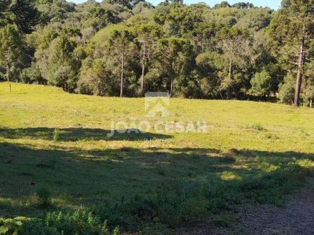 Casa venda em Região Geográfica Imediata de Lagoa Vermelha, Caseiros