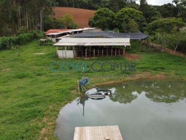 Sítio e chácara venda em Vila São Vicente, Entre Rios de Minas