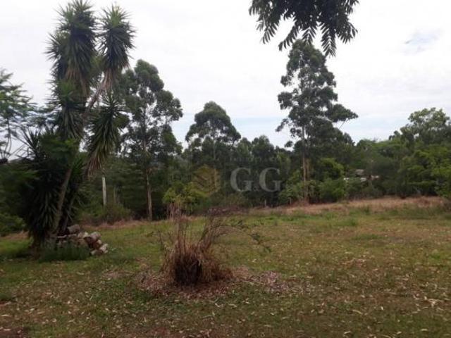 Sítio e chácara venda em Região Geográfica Imediata de Porto Alegre, Região Metropolitana de Porto Alegre