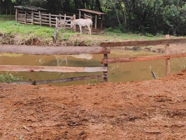 Sítio e chácara venda em Região Geográfica Imediata de Pouso Alegre, Careaçu