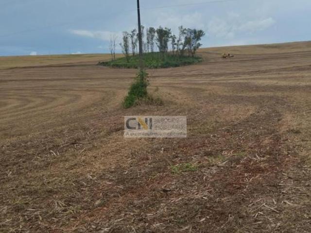 Sítio e chácara venda em Região Geográfica Imediata de Londrina, Ibiporã