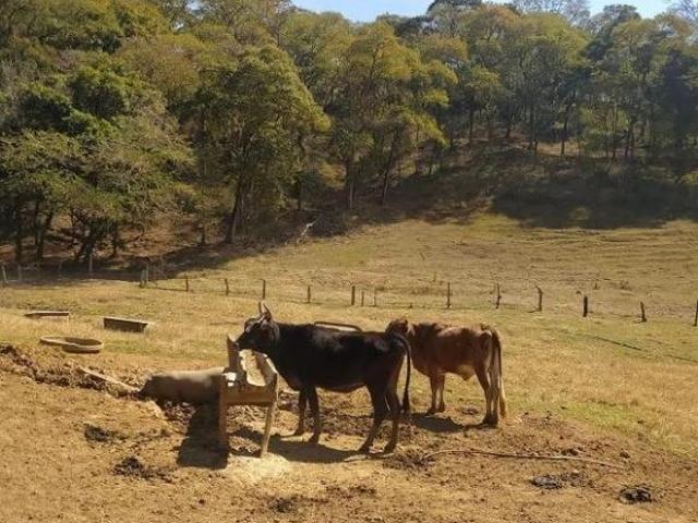 Sítio e chácara venda em Região Imediata de Sorocaba, Região Metropolitana de Sorocaba