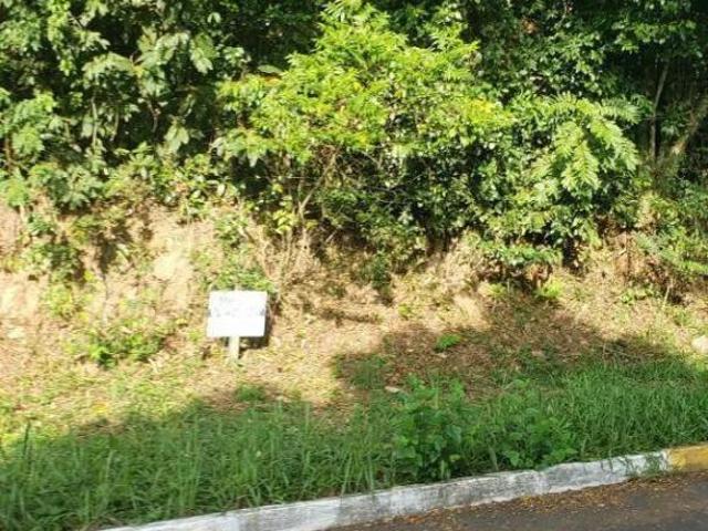 Terreno venda em Campo Bom