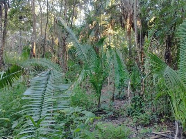 Terreno venda em Região Geográfica Imediata de Uruaçu - Niquelândia, Colinas do Sul