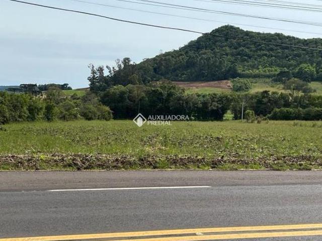 Terreno venda em Região Geográfica Imediata de Caxias do Sul, Nova Petrópolis