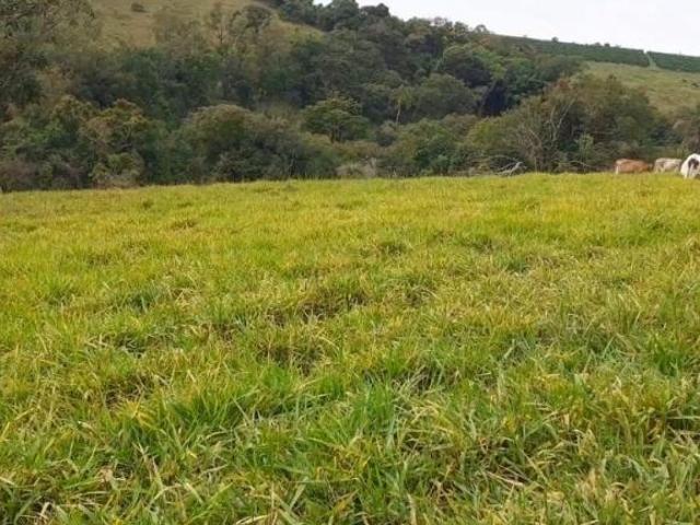 Terreno venda em Região Geográfica Imediata de Pouso Alegre, Turvolândia