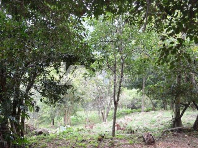 Terreno venda em Região Geográfica Imediata de Caxias do Sul, Gramado