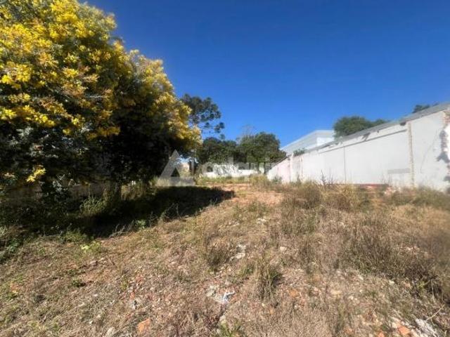 Terreno venda em Vila Ewaldo Weiss, Ponta Grossa