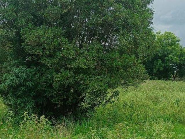 Terreno venda em Região Geográfica Imediata de Pouso Alegre, São João da Mata