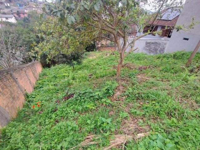 Terreno venda em Região Geográfica Imediata de Curitiba, Região Metropolitana de Curitiba