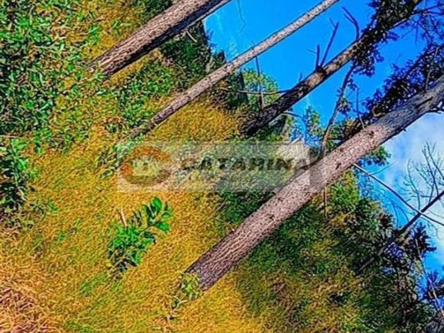 Terreno venda em Benzenex, Mairinque