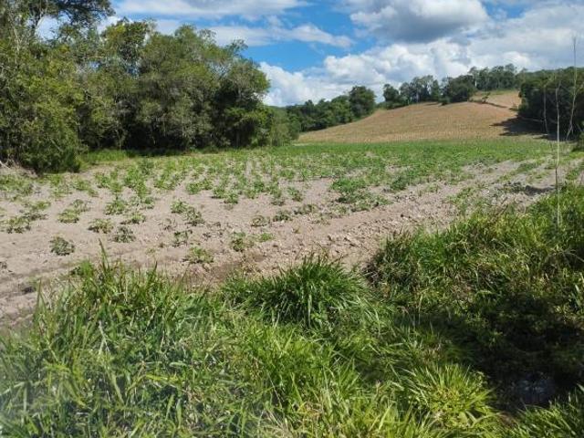 Terreno venda em Região Geográfica Imediata de Pouso Alegre, Turvolândia