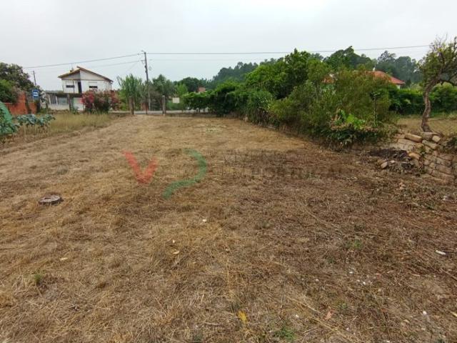 Terreno venda em Oliveira Do Bairro, Aveiro