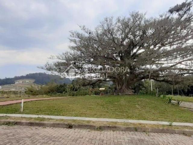 Terreno venda em Nova Crixás, Região Geográfica Intermediária de Goiânia