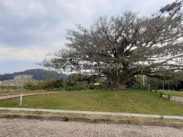 Terreno venda em Região Geográfica Imediata de Goiás - Itapuranga, Nova Crixás