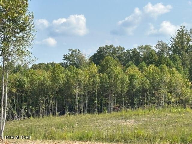 Land for sale in Tennessee