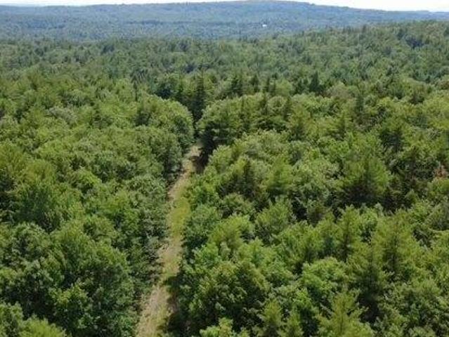 Land for sale in Maine