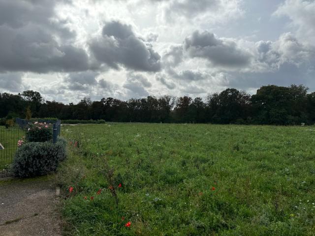 Terrain vente à Thionville, Ottange