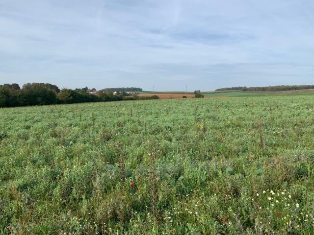 Terrain vente à Thionville, Ottange