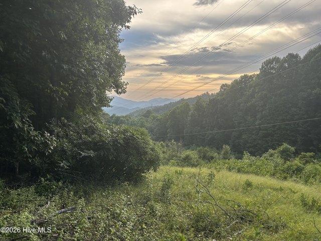 Land for sale in North Carolina