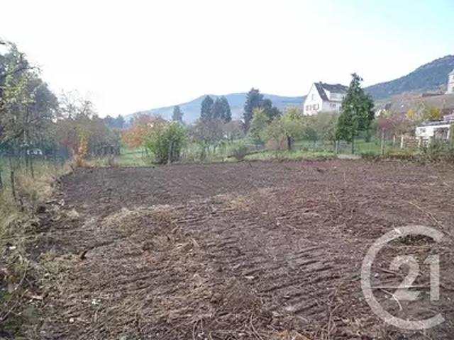 Terrain vente à Molsheim, Ottrott
