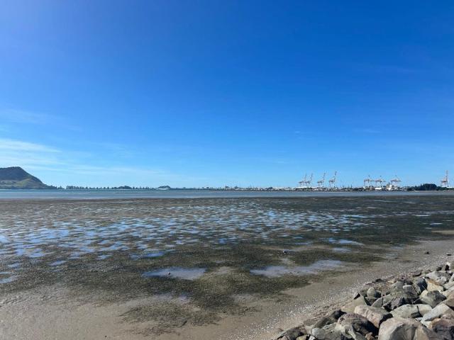 Apartment for rent in Omokoroa, Bay Of Plenty