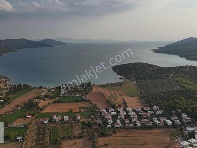 Milas, Muğla içerisinde satılık mülk