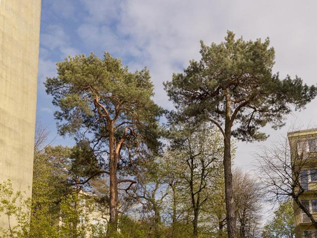 Mieszkanie na sprzedaż w Józefów, Mazowieckie