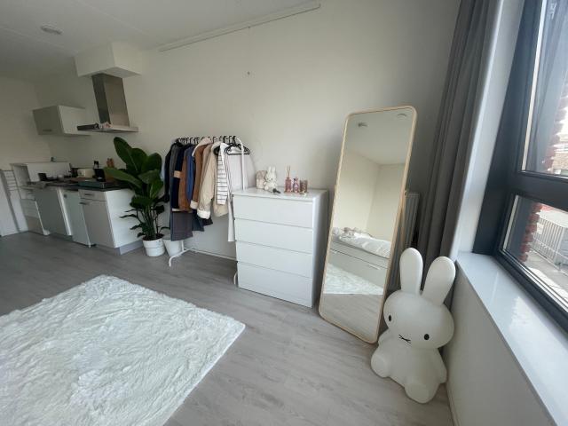 Studio te huur in Utrecht, Lauwerecht