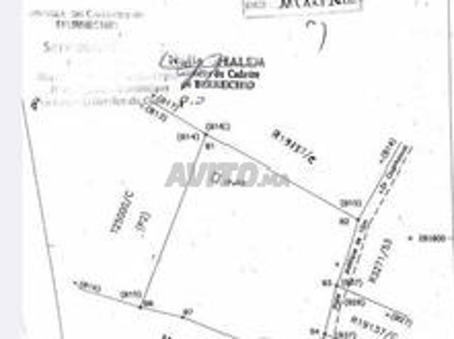 Propriété vente à Oulad Abbou, Gharb-Chrarda-Beni Hssen