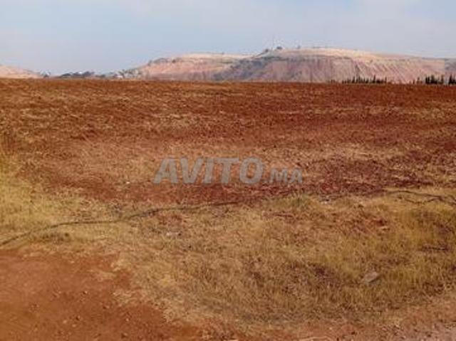Propriété vente à El Ma, Gharb-Chrarda-Beni Hssen