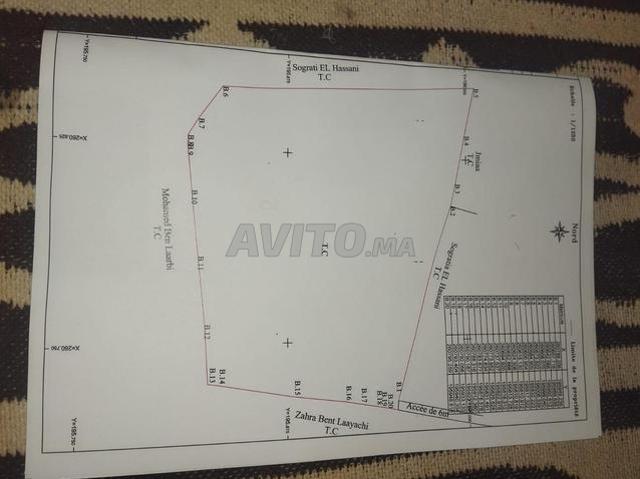 Propriété vente à Ben Guerir, L'Oriental