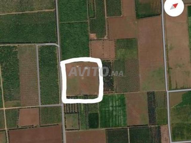 Propriété vente à Mellal